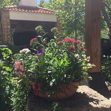 Casas Rurales La Huerta 호텔 살로브라 외부 사진