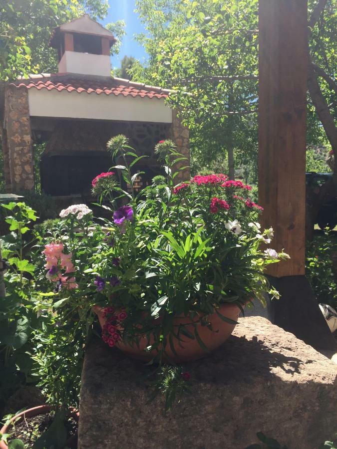 Casas Rurales La Huerta 호텔 살로브라 외부 사진